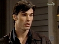 491